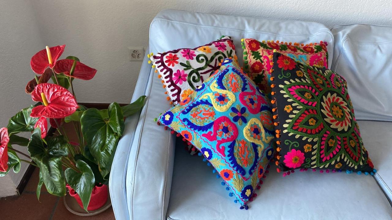 Con Terrazza A Due Minuti Dal Apartment Minusio